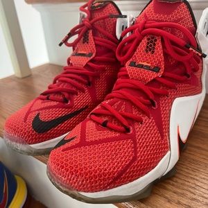 Lebron 12s
